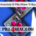 Anaconda Xl Pills Where To Buy 15